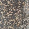 Germix Goldfinch sprouted seeds - photo 1