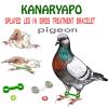 Bracciale Kanaryapo per il trattamento delle zampe dei colombi - foto 1