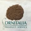 Semi di cipresso per uccelli - foto 1