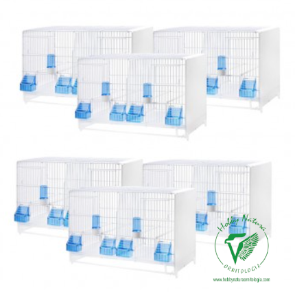 CAGE COVA 58 CM -  (6 CAGES 58x30x39h)