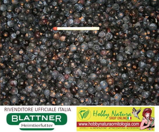 BACCHE DI GINEPRO PER UCCELLI
