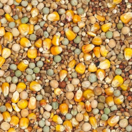 Mangime standard Eco Special per colombi da allevamento e gara