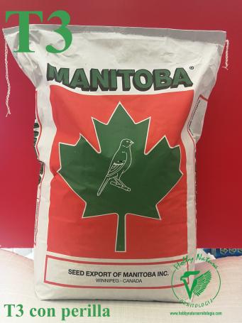hobbynaturaornitologia en p776942-t3-platinum-manitoba-for-canaries 014