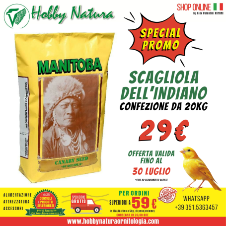 SCAGLIOLA DELL'INDIANO PER UCCELLI