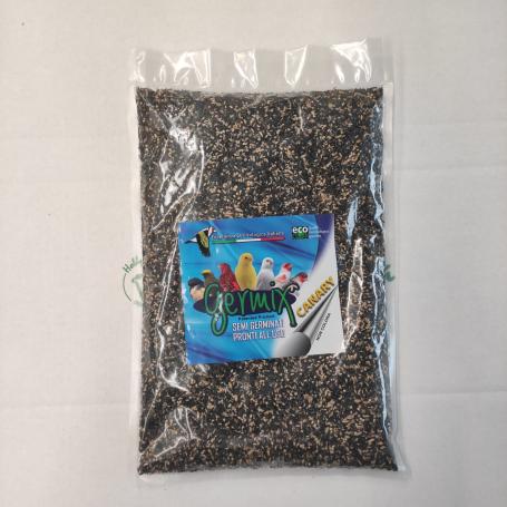 Germix Canary semi germinati per canarini (non colora)