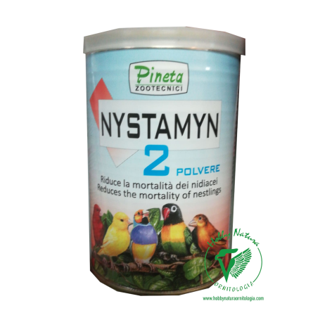 Nystamyn food aid for newcomers