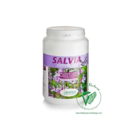 Semi di Salvia Officinalis per uccelli