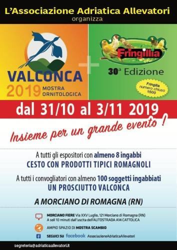 Mostra Ornitologica Valconca e Fringillia 2019 - Morciano di Romagna (RN)