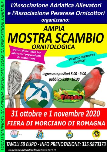 Mostra Ornitologica Valconca e Fringillia 2020 - Morciano di Romagna (RN)