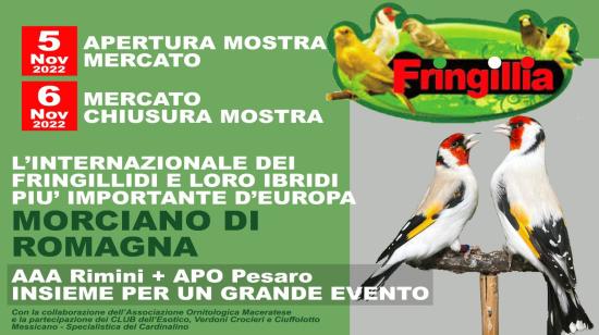Mostra Ornitologica Fringillia Ibridia - Valconca 2022 - Morciano di Romagna (RN)