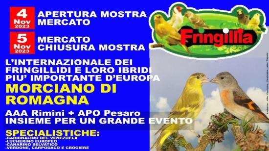 Fringillia Ibridia Ornithological Exhibition - Conca Valley 2023 - Morciano di Romagna (RN)