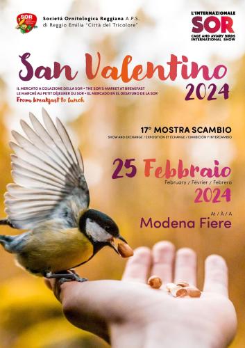 Valentine's Market 17th edition. - SOR Modena (Italy)