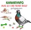 Kanaryapo splayed leg in bird treatment bracelet pigeons - photo 1
