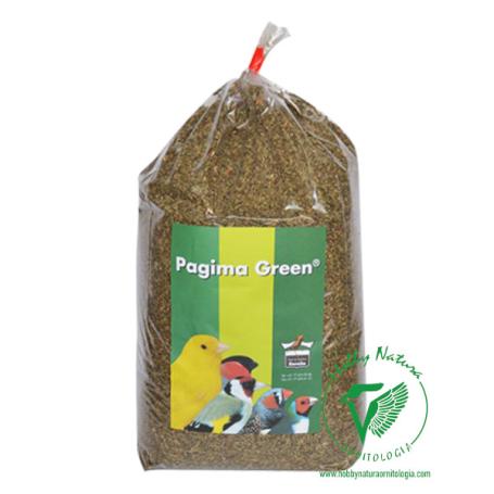 Pagima Green is a grass seed for birds