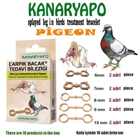 Kanaryapo splayed leg in bird treatment bracelet pigeons