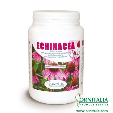 Echinacea seeds Ornitalia