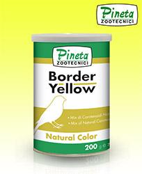 Border yellow colorante giallo per uccelli