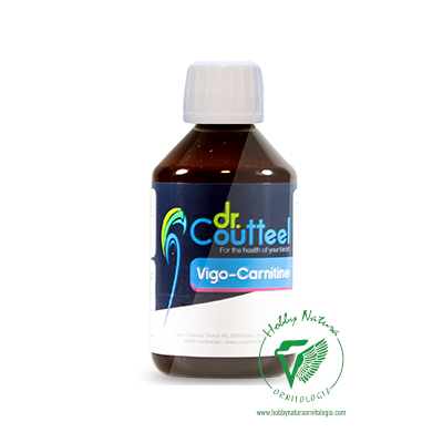 VIGO-CARNITINA energy and antioxidant for birds