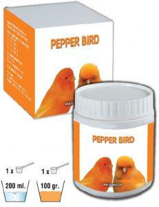 PEPPER BIRD orange colouring