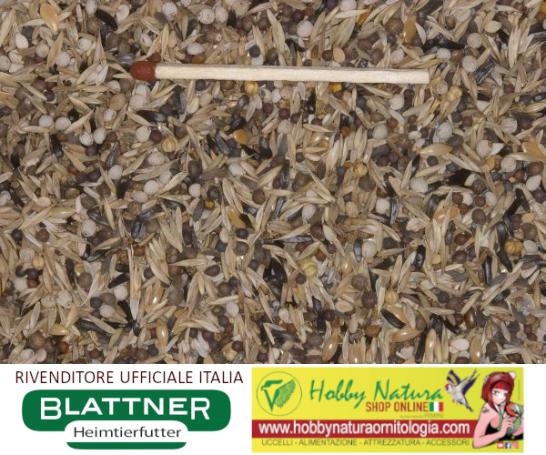 Blend seeds for Black Spinus and Acanthis flammea - BLATTNER