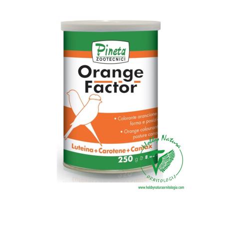 Orange Factor Pineta colorante arancione per canarini