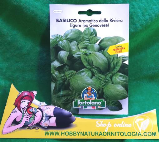 Ligurian Basil - Seeds for planting